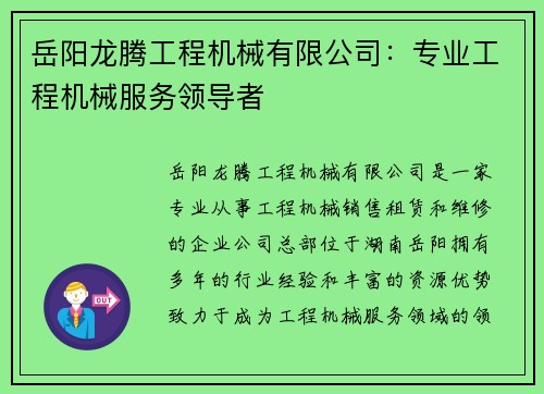 岳阳龙腾工程机械有限公司：专业工程机械服务领导者